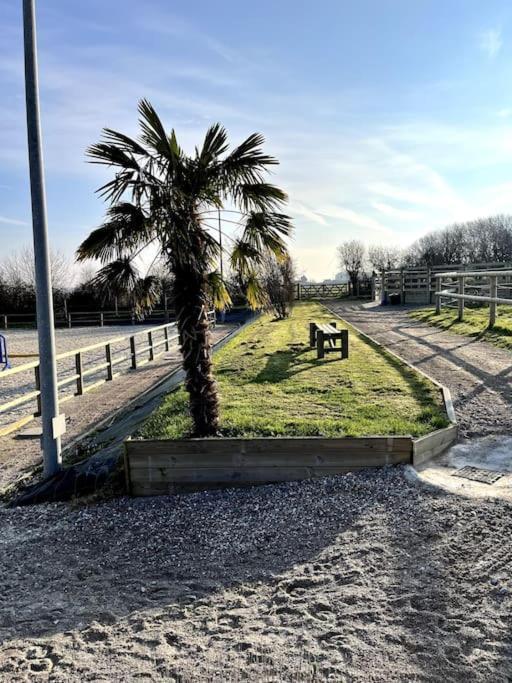 Vila Haras De Connincthun Beuvrequen Exteriér fotografie